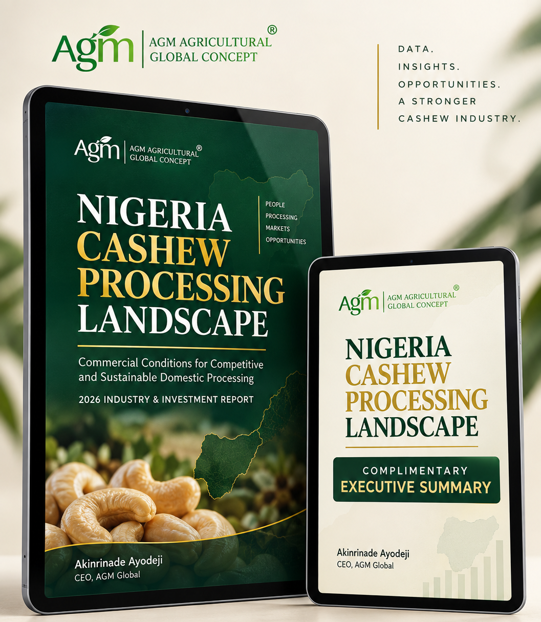 Digital mock-up of Nigeria Cashew Processing Landscape and its complimentary executive summary